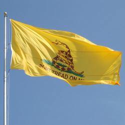 The American Revolutionary flag adopted by the Tea Party Movement. Nostradamus mentions a sea attack on Iran by the "true serpent", which perhaps is his code for America under Tea Party control waging a future war. Astrologically speaking, this could happen in 2015 or 2016.
