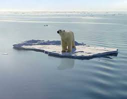 This is not a stuffed bear on a melting polar see spinning a false narrative. 