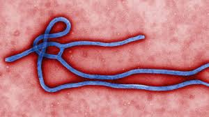 EbolaVirus