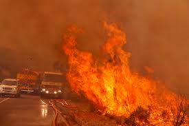 Another weird weather flash point, literally. Record breaking heatwaves in Spain this month turned deadly with early mega fires.