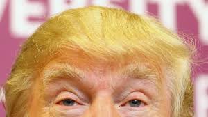 TrumpHairEyesBrows