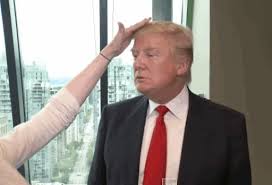TrumpHairTouch