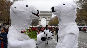 ParisClimate-PolarBearCostumes