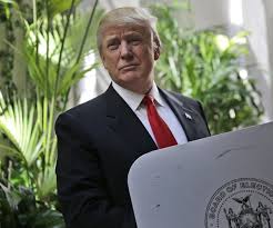 TrumpPresidentialLookingVoting