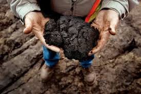 Canadian Athabasca crude is a tar baby for the climate. Burn this stuff and tip the climate's scales to a runaway global warming cascade.