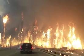 FortMcMurray-RoadBorealForestFire