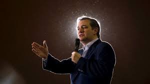 TedCruzHalo