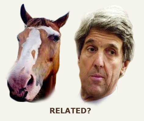 horsefacekerryrelated