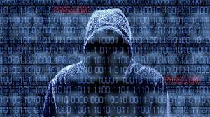 hackerinhoodie1sand0sveil
