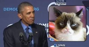 ObamaFowningFinalSpeechGrumpCat