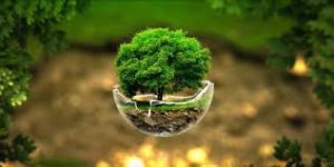 TreeInEarthBowlEarthDay