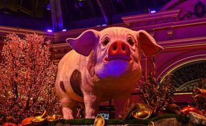 Chinese New Year 2019 – Year of the Pig. Photo: Tomás Del Coro: cc Creative Commons. 