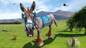 Caricature of Democratic Party Donkey by DonkeyHotey, © Creative Commons.