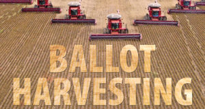 ballot-harvesting-620