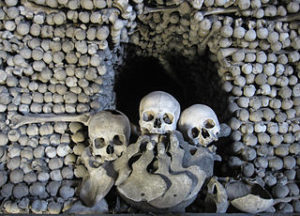 Bones inside the ossuary below the Cemetery Church of All Saints in Sedlec, a suburb of Kutná Hora in the Czech Republic. The ossuary is estimated to contain skeletons of between 40,000 and 70,000 people.