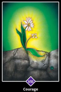 “Courage” Osho Zen Tarot, designed by Ma Deva Padma. It is my Tarot Deck of choice when I do my online Zoom Readings. 