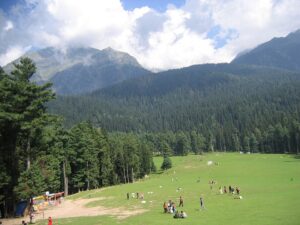 Baisaran Meadow/Valley near Pahalgam, Kashmir, India. Photo, Vinayaraj. © Creative Commons.