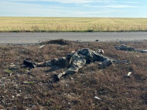 The remains of an unburied Ukrainian soldier. It is not clear if the photographer was intending it or not, but the field of wheat and the light and pastel blue, made by the somewhat cloudy sky resembles the bi-color Ukrainian National Flag. The blue stripe is the Ukrainian sky, below which is the yellow stripe that is an endless field of Ukrainian wheat.